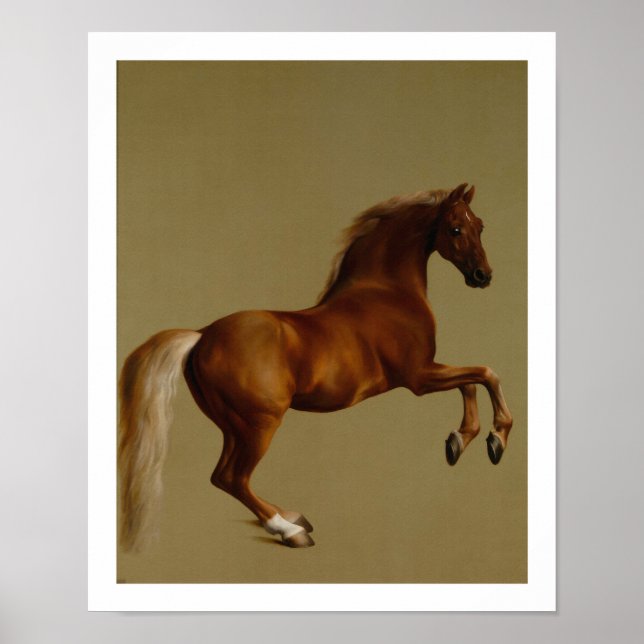 Whistlejacket Race Horse by George Stubbs Poster (Front)