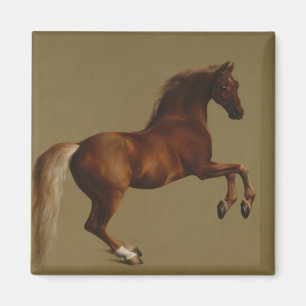 Whistlejacket the Horse (by George Stubbs) Magnet