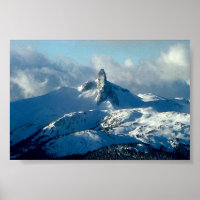 Whistler View
