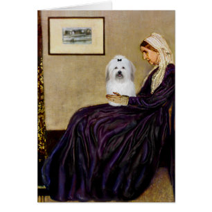 Whistlers Mother - Coton de Tulear 2