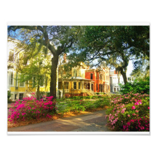 Whitaker Street In March Photo Print