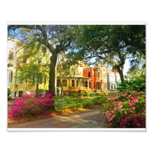 Whitaker Street In March Photo Print (Front)