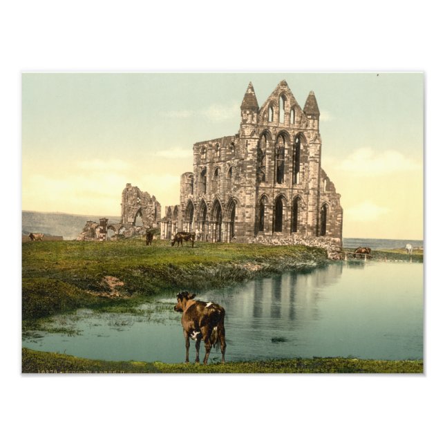 Whitby Abbey II, Whitby, Yorkshire, England Photo Print (Front)
