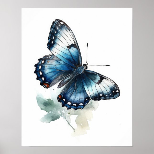 White Admiral Butterfly Art Print Poster (Front)
