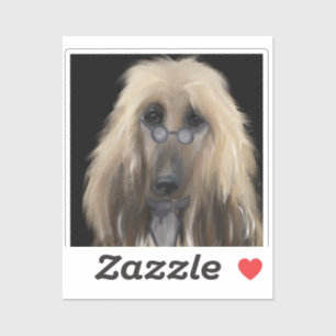 White Afghan Hound