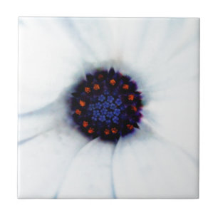 White African Daisy Flower Photograph Ceramic Tile
