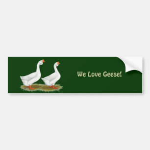 White African Geese Bumper Sticker