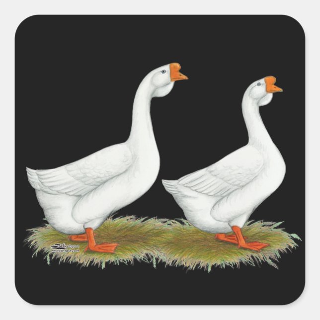 White African Geese Square Sticker (Front)