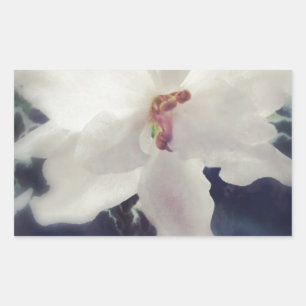 White African Violet Flower Rectangular Sticker