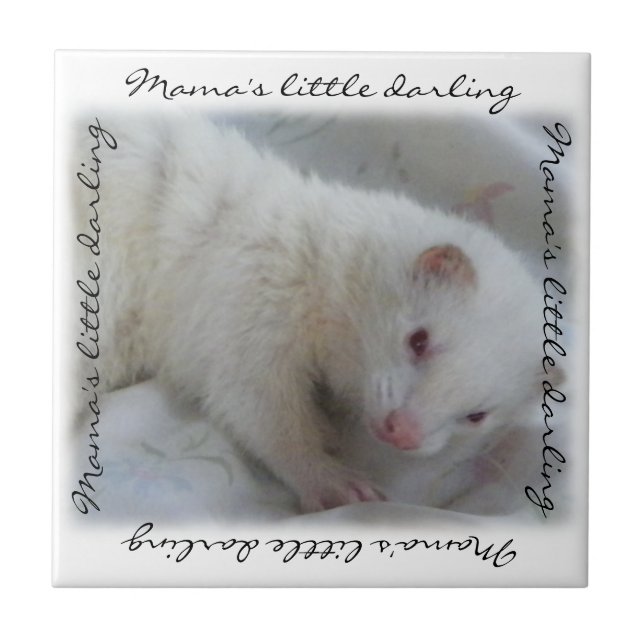 White Albino Ferret Picture Ceramic Tile (Front)