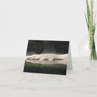 White Alligator Note Card