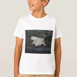 white alligator T-Shirt