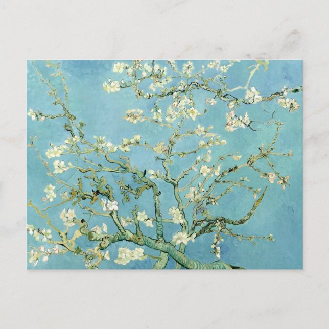 White almond blossom by Vincent Van Gogh Postcard (Front)