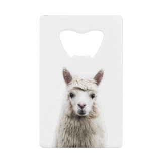 White Alpaca