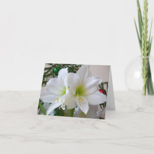 White Amaryllis and Christmas Tree Holiday Card