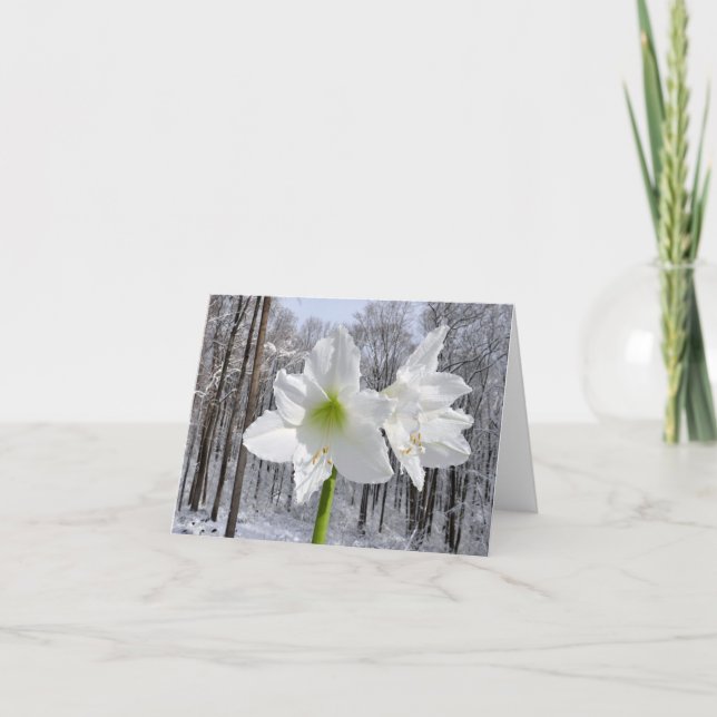 White Amaryllis and Snow I Holiday Card (Front)