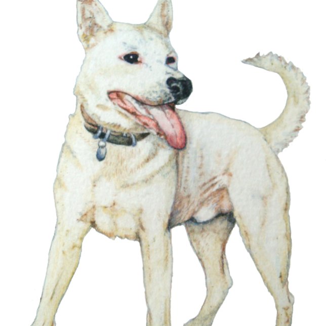 White American bulldog panting dog T-Shirt (Creator Uploaded)