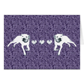 White American Pit Bull with Hearts/purple