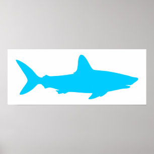 White and Aqua Blue Shark Poster