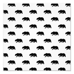 White and Black Grizzly Bear Pattern Photo Print