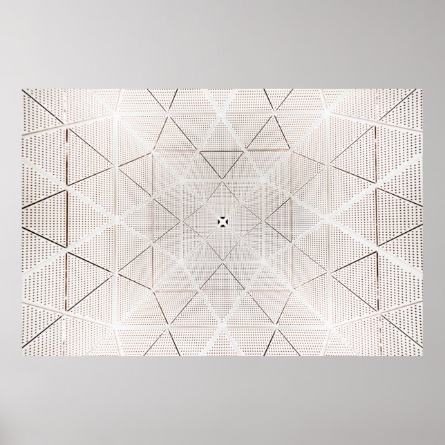 White and black illustration poster (Front)