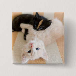 White And Black Kittens 15 Cm Square Badge