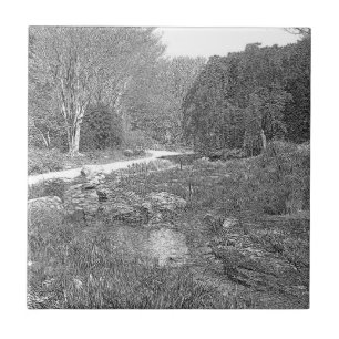 White and black nature sketch ceramic tile