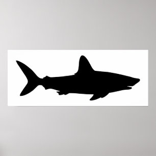 White and Black Shark Poster