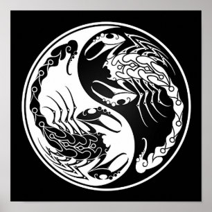 White and Black Yin Yang Scorpions Poster