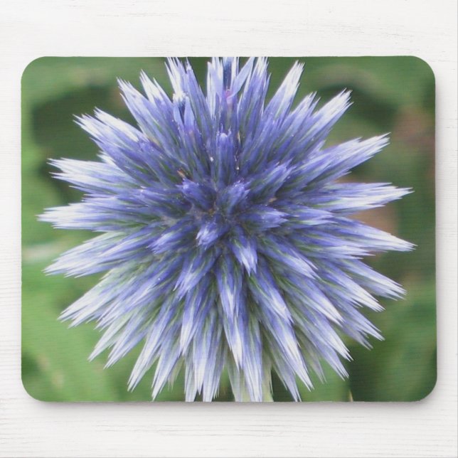 White and Blue Globe Thistle Mousepad (Front)