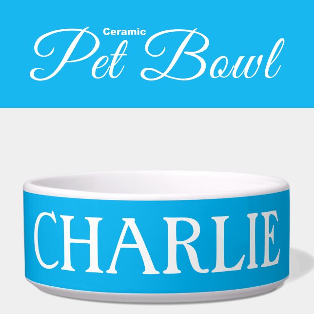 White and blue with a name cat or dog bowl (Creator Uploaded)