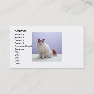 White and Brown Cat Business Card