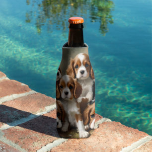 White And Brown Cavalier Spaniel Puppies,  Bottle Cooler
