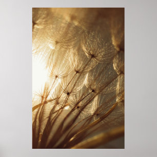 White and brown floral textile poster