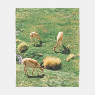 WHITE AND BROWN HORSES ON GREEN GRASS FIELD FLEECE BLANKET