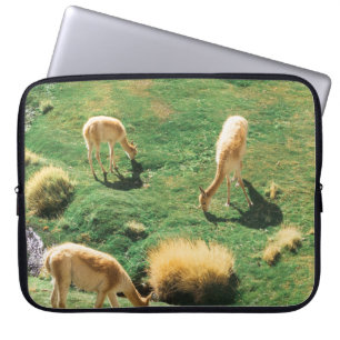 WHITE AND BROWN HORSES ON GREEN GRASS FIELD LAPTOP SLEEVE