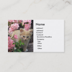 White and Brown Kitten Business Card