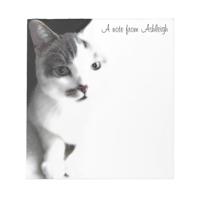 White and Brown Tabby Cat Painting Notepad (Front)