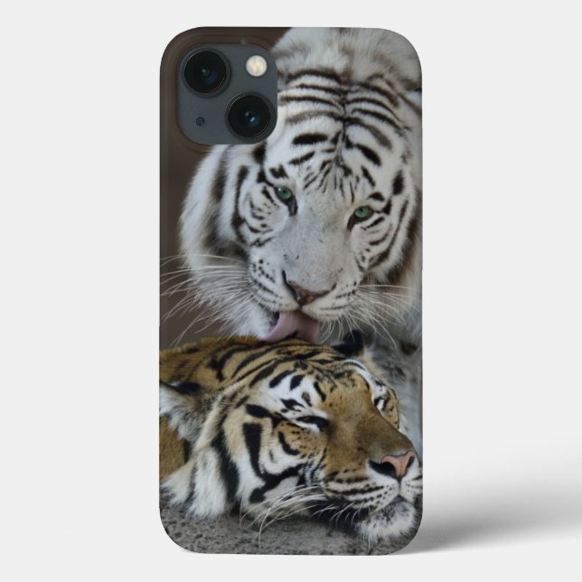 White And Brown Tigers Resting Case-Mate iPhone Case (Back)
