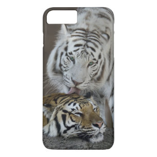 White And Brown Tigers Resting iPhone 8 Plus/7 Plus Case