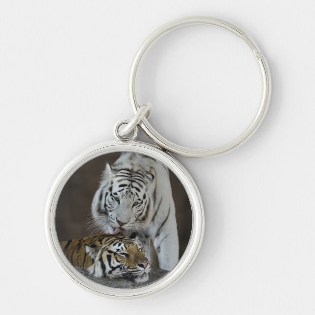 White And Brown Tigers Resting Key Ring (Front)