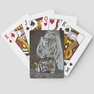 White And Brown Tigers Resting Playing Cards