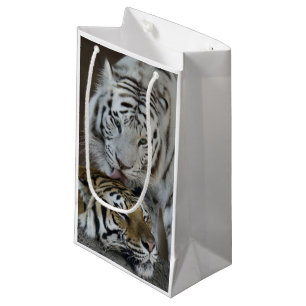 White And Brown Tigers Resting Small Gift Bag