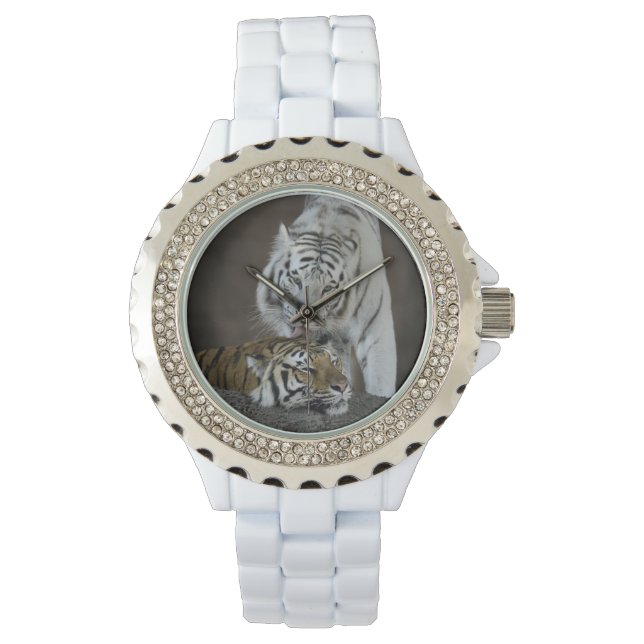 White And Brown Tigers Resting Watch (Front)