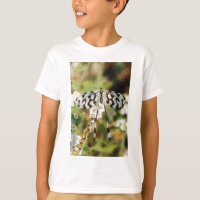 White and Chocolate Brown Fantail Butterfly