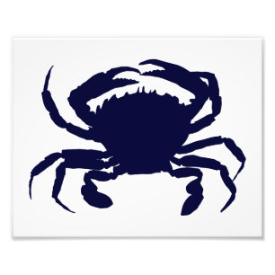 White and Dark Blue Crab Photo Print
