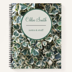 White and green Peperomia plant leaves Floral Notebook
