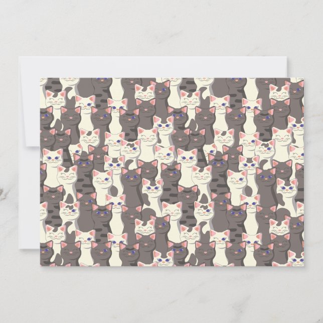 White and grey cats pattern announcement (Front)