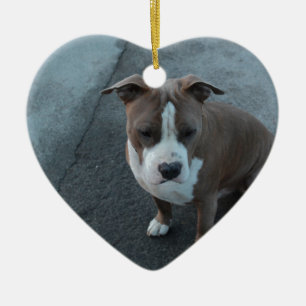 White and Grey Pitbull on concrete Ceramic Tree Decoration