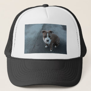 White and Grey Pitbull on concrete Trucker Hat